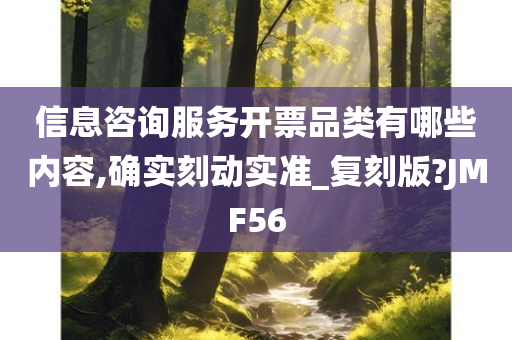 信息咨询服务开票品类有哪些内容,确实刻动实准_复刻版?JMF56