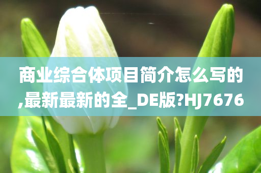 商业综合体项目简介怎么写的,最新最新的全_DE版?HJ7676