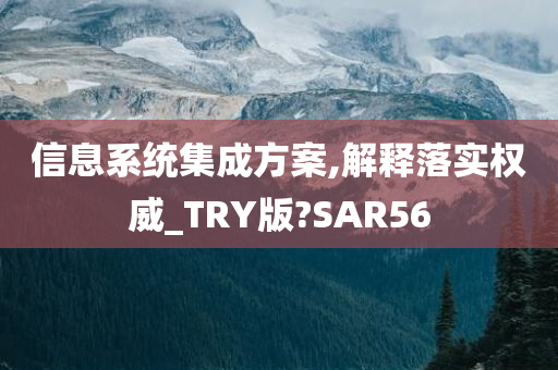 信息系统集成方案,解释落实权威_TRY版?SAR56