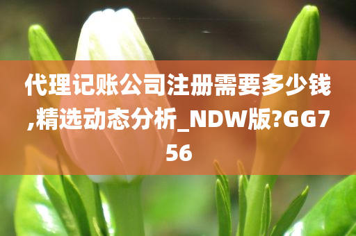 代理记账公司注册需要多少钱,精选动态分析_NDW版?GG756